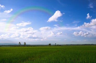ID-100141193 "Fields And Rainbow" by rakratchada torsap