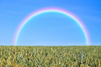 ID-10066657 "Grass And Rainbow" by zirconicusso